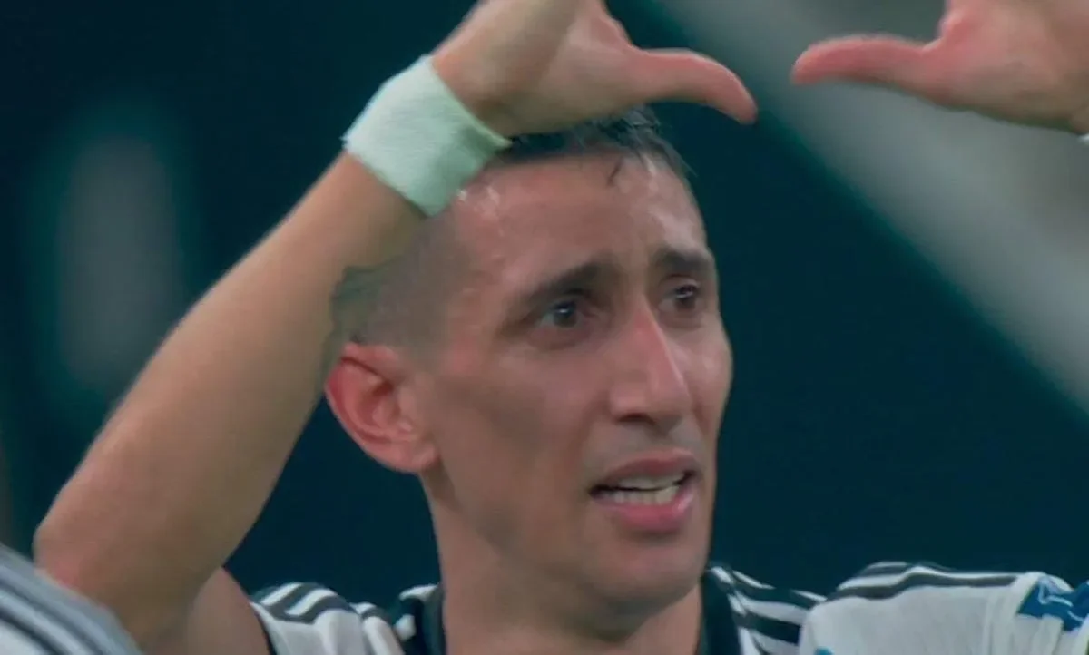 Orrore Di Maria: “Una testa di maiale con un proiettile in fronte, il biglietto era..."