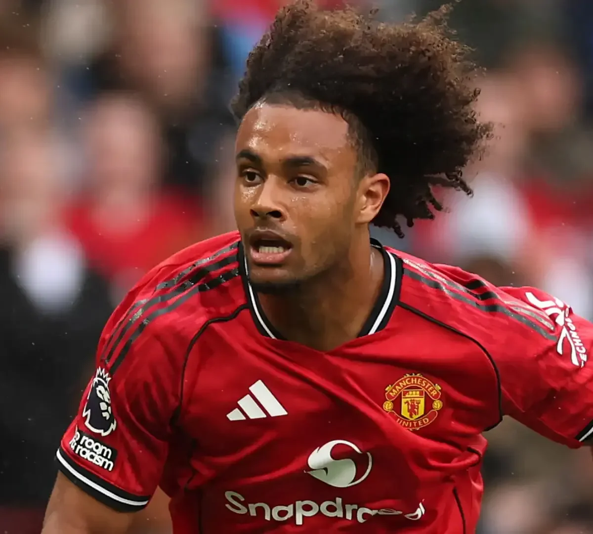 Calciomercato, Zirkzee piace a tanti: ecco la posizione dello United